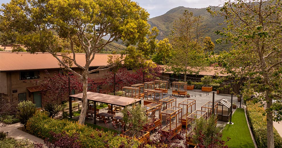 Chef's Garden