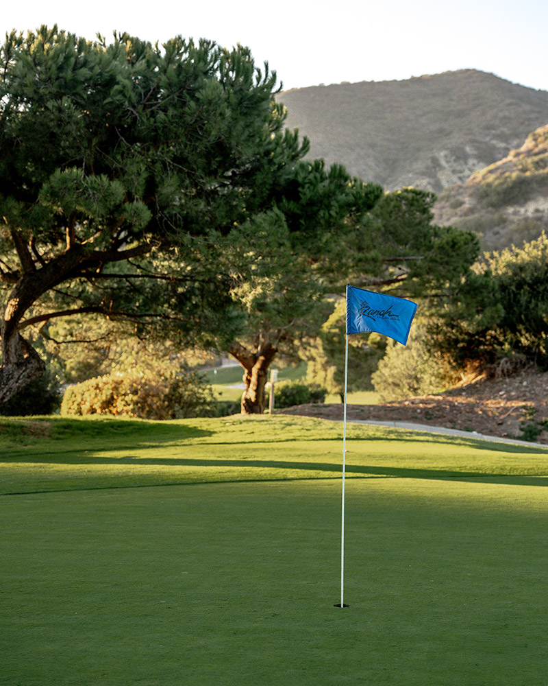 Golf course flag.