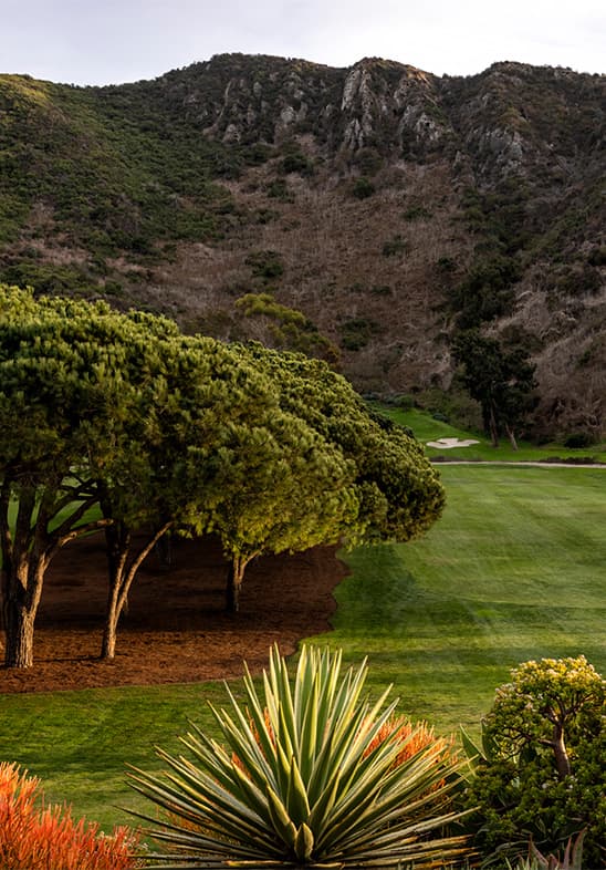 1st or 9th Fairways