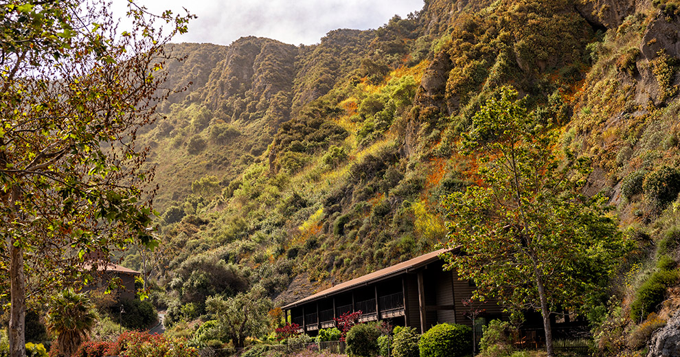Outside view of the Creekside studios.